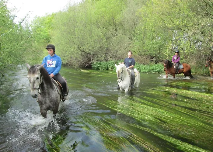 Casa Rural La Acena De Huerta 펜션 Huerta (Salamanca)